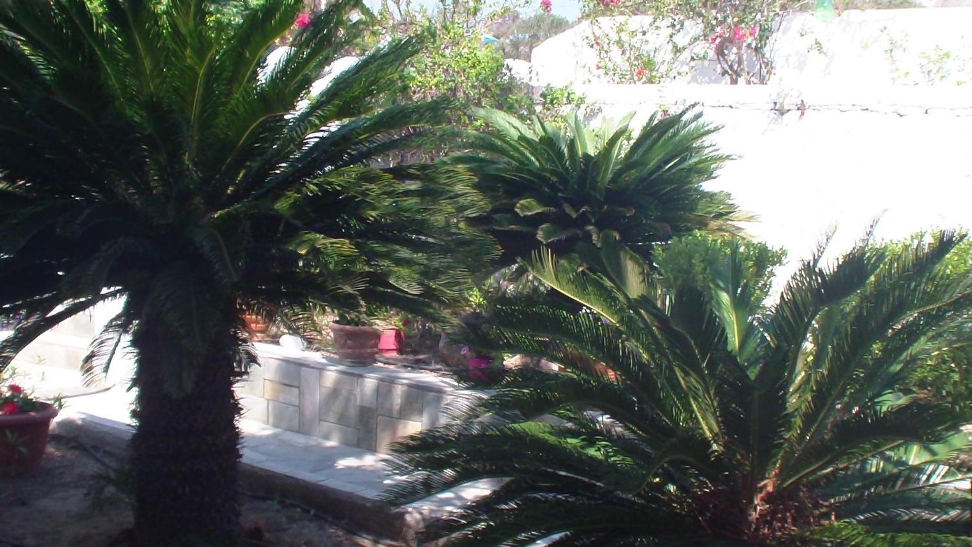 Creta Vassakis Studios 2 Kefalos  Bagian luar foto